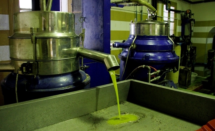 La BCT s'apprête à prendre des mesures pour remédier à l'endettement  des huileries et des exportateurs d'huile d'olive 