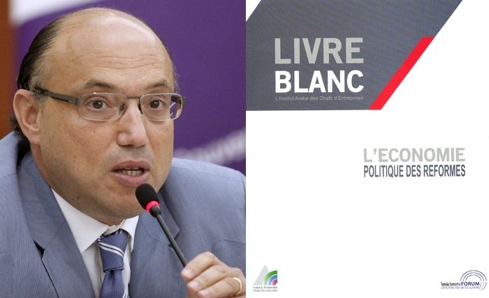 Téléchargez le Livre Blanc de l’IACE sur l’Economie politique des réformes