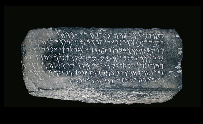 مــن‭ ‬قضـايـا‭ ‬اللغة‭ ‬فـي‭ ‬تــونس