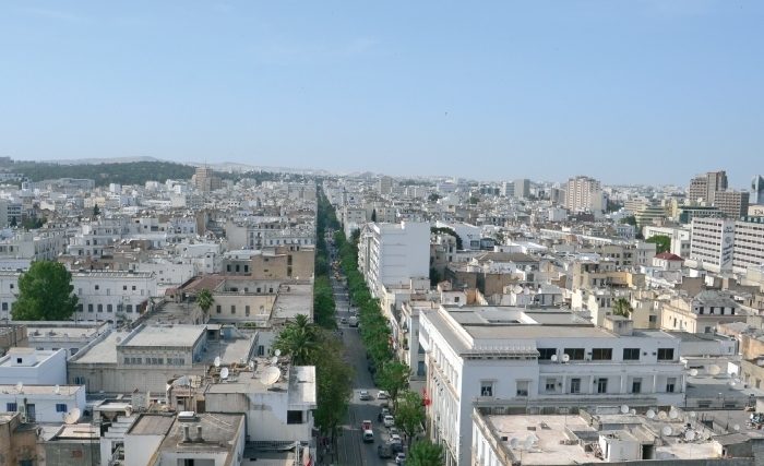 الطبقــات‭ ‬الوسطى‭ ‬في‭ ‬تــــونس‭ ‬بعـــد‭ ‬14‭ ‬جانفي‭ ‬2011