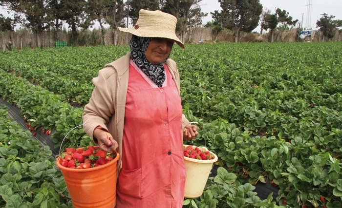الفــــلاحة أساس الاقتصاد الرّيفي