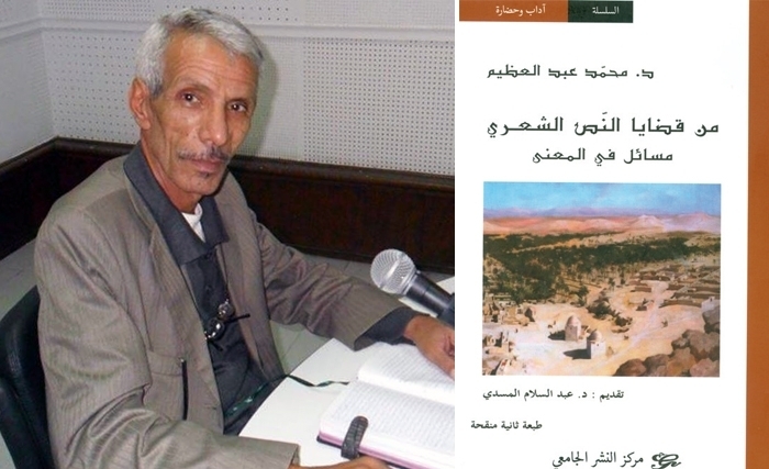 محمّد عبد العظيم: "من قضايا النّصّ الشّعريّ مسائل في المعنى"