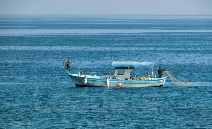 الثّــروة السّمكيّــة في تونس بيــن الاستنـــزاف والاحتكار