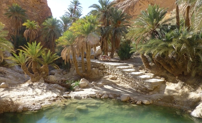 توزر ولاية صديقة للبيئة