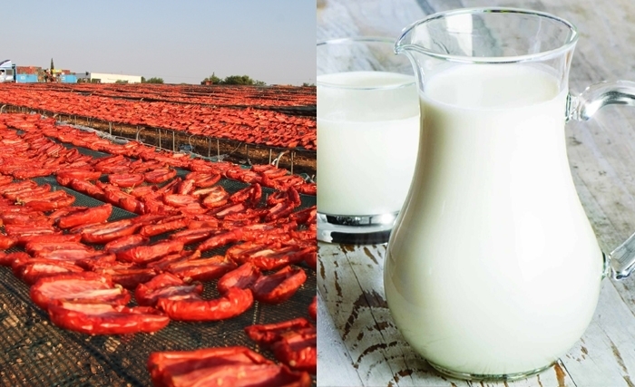 اتحاد الفلاحين يطالب بإقرار أسعار مرجعية تغطي الكلفة الحقيقية لإنتاج الألبان والطماطم الفصلية المعدّة للتحويل 