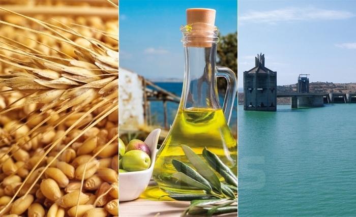 الفلاحة في تونس: الطبيعة، الموارد، الإنتاج