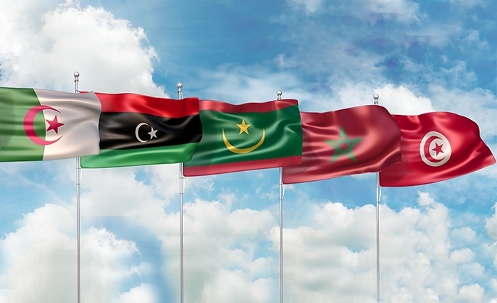الأمن في منطقة المتَوَسّطْ فضاءات الحوار مع الغرب لا تحجب ضرورة إقامة منظومة أمنـيّة عربيـة فاعلة