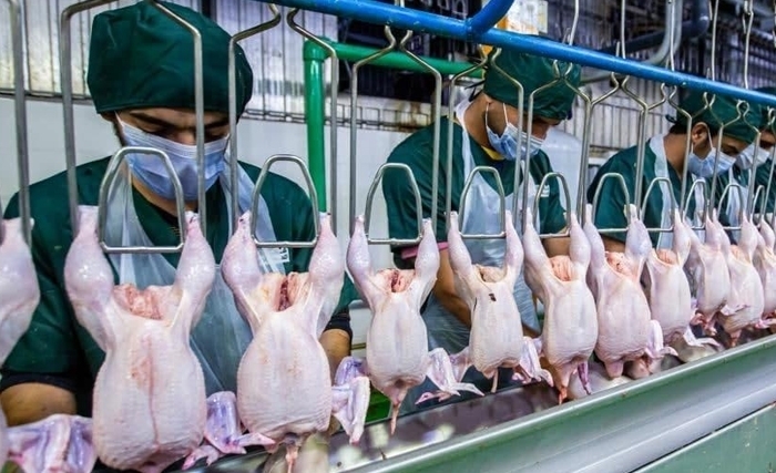 Tunisie: Hausse des prix des produits avicoles et lutte contre la spéculation