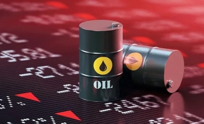تفسير الخيارات التي اعتمدتها بعض الدول العربية، في إطار توفير حاجياتها الطاقية، ودراسة الآثار الاقتصادية المترتبة عن إلغاء الدعم عن الطاقة