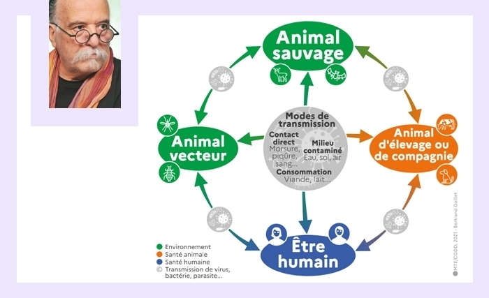 Zoonoses : Les maladies qui passent de l’animal à l’homme