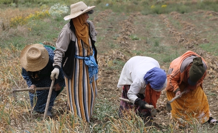 À l’occasion de la fête du travail: Un hommage particulier aux ouvrières agricoles À l’occasion de la fête du travail: Un hommage particulier aux ouvrières agricoles
