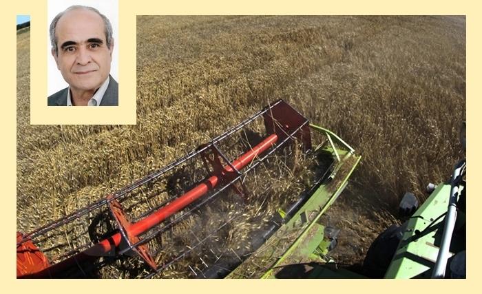 Ridha Bergaoui: Malgré une bonne récolte, la Tunisie demeure fortement dépendante de l’importation des céréales Ridha Bergaoui: Malgré une bonne récolte, la Tunisie demeure fortement dépendante de l’importation des céréales