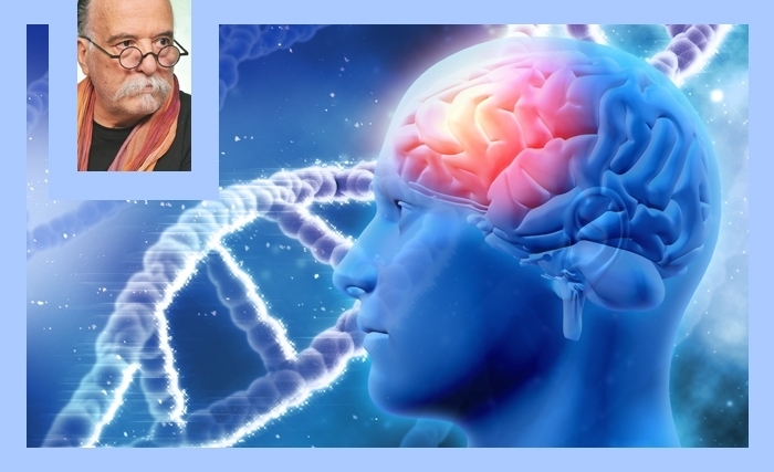 La tyrannie du cerveau: grandeur et démesure de l’intelligence humaine La tyrannie du cerveau: grandeur et démesure de l’intelligence humaine