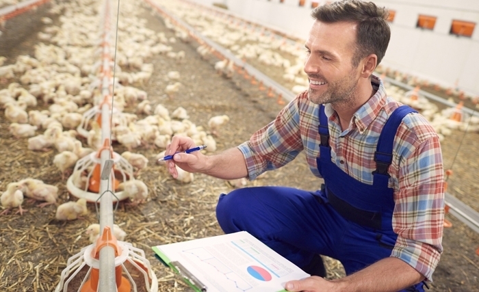 Ridha Bergaoui: L’élevage à l’heure de l’intelligence artificielle