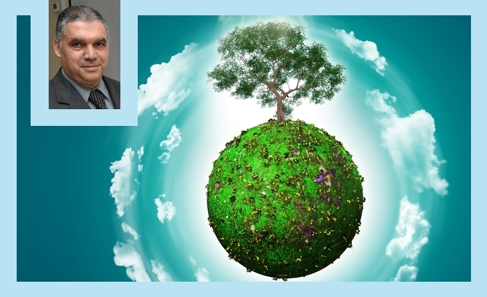 La Fête de l'Arbre: Un Investissement Stratégique dans la Durabilité de la Vie sur Terre