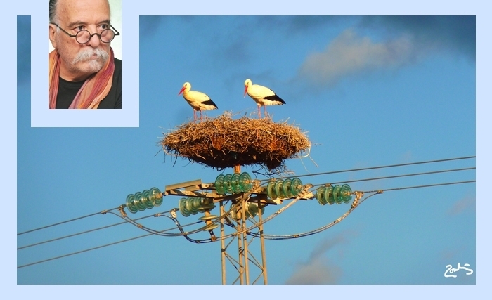 La Beauté du Fragile: pour une philosophie silencieuse de l’instant