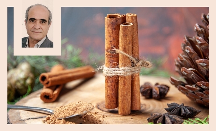 La cannelle: Un condiment au parfum envoûtant et un remède ancestral