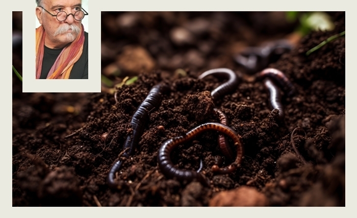Sous nos pas, la grande fabrique du vivant : plaidoyer critique pour les lombrics
