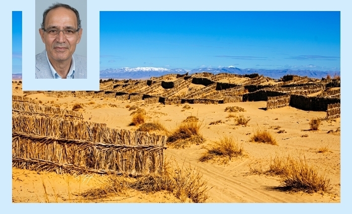 Soliman plage: Préserver la station balnéaire de la progradation de la côte 