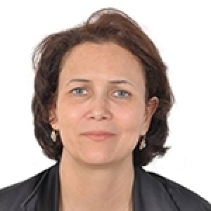 La résolution 2803 du Conseil de sécurité: Est-elle un prélude à une paix durable et juste à Gaza?