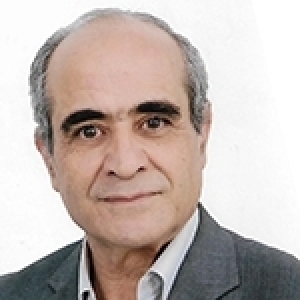 La menthe verte: Fraîcheur, traditions et art de vivre