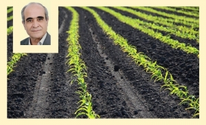 Ridha Bergaoui: L’agriculture de conservation, une stratégie pour des sols fertiles et une agriculture durable 