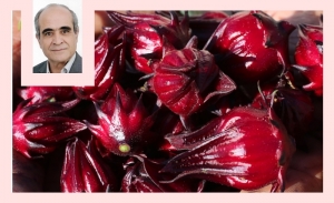 Le carcadé: Une agréable boisson apaisante et bienfaisante