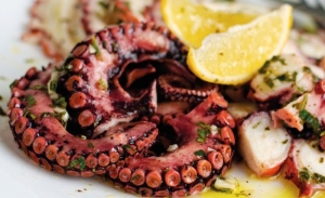 Le poulpe: Un plat raffiné et une ressource sous pression